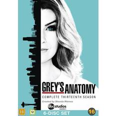 Grey's Anatomy - Säsong 13