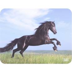 T'nB Musmatta Motiv Horse