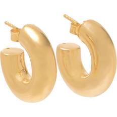 Missoma Earrings Missoma Chubby Small Hoop Earrings - Gold