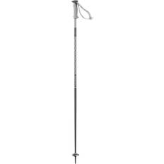 Salomon Downhill Ski Poles Salomon Polar Pole Grey Purple Violet
