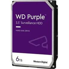 Ernitec 6TB SATA HDD WD Purple