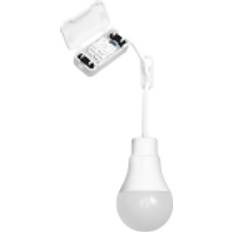 Light Bulbs LEDVANCE LED Bulb Cool White 4000 K 10 W