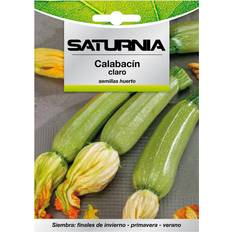Semillas Saturnia Semillas Calabacin Verde Oscuro 5 Gramos