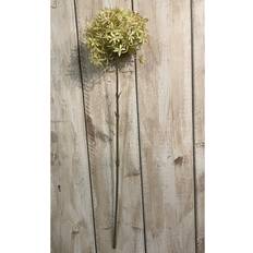 Beige Artificial Plants Hill Interiors Green And Beige Allium 63cm H X 7cm W X 7cm D Artificial Plant