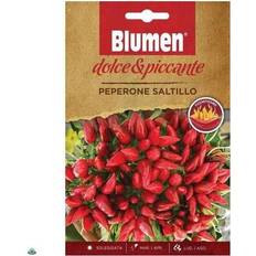 Semi di Verdura Blumen Semi Peperone Saltillo