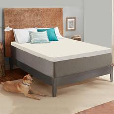Beds & Mattresses Treaton 1-inch Medium Firm Foam Toppers with Orthopedic Benefits