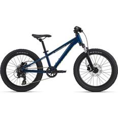 Giant Bikes Giant Stp 20 Kids Mountain Bike