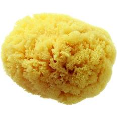 Hydrea London Grass Sea Sponge BG/6W