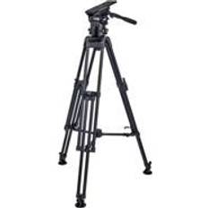 3808 CiNX 3 HDC 100 Alloy
