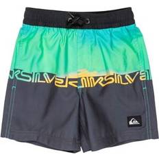 Kid's Everyday Straight Volley Boy 12 Boardshorts - Blå