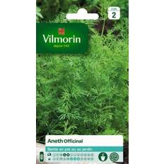 Graines Graines D'aneth Variété Officinal Vilmorin Semis D'avril À Mai