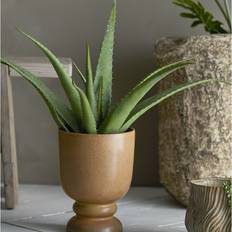 Bloomingville Dekoration Bloomingville Aloe Grön Konstgjord växt