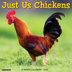 Office Supplies Willow Creek Press Just Us Chickens 2026 Wall Calendar