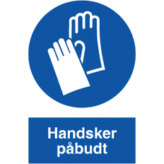 Otto Schachner Signerade Handskar Mandat Plast