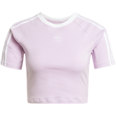 adidas DS Adicolor 3-Stripes Baby T-S - Purple