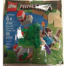LEGO Minecraft Steve and Creeper Polybag Set 30393
