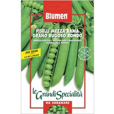 Semi Semi Di Piselli Mezza Rama Grano Rugoso Rondo Blumen