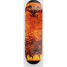 Skateboards Jacuzzi Unlimited Michael Pulizzi Hoo 8.375 inch Skateboard Deck