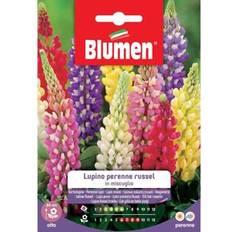 Semi di fiori Semi Lupino Russel in Miscuglio 1 g