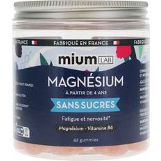 Mium Lab Sugar Free Magnesium 42 Gummies