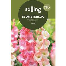 Salling Blomsterløg 16 Stk