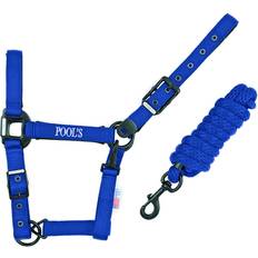 Imbracature per cavalli Capestro Cavallo In Nylon Con Cuoio - Bleu