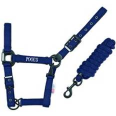 Imbracature per cavalli Capestro Cavallo In Nylon Con Cuoio - Bleu
