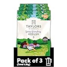 Taylors Of Harrogate Lazy Sunday Ground Coffee 400 g Pack 3