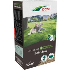 Zaden DCM Graszaad Plus Schaduw 0,6 kg Zaden