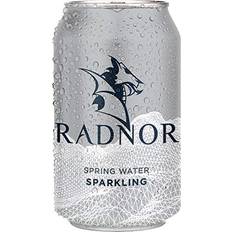 Radnor Hills Sparkling Spring Water Cans 24x330ml Pack of 24 33cl 24pack
