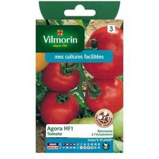 Graines de Légumes Vilmorin Tomate Agora HF1
