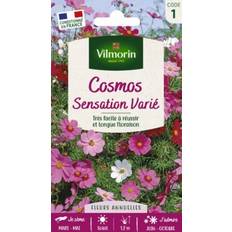 Graines de Légumes Vilmorin Graines De Cosmos Sensation Mix