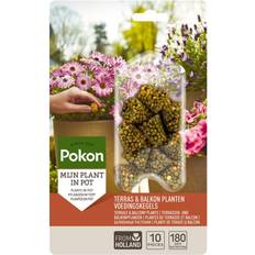 Plantenvoedingen Pokon Terras & Balkon Voedingskegels 10 Stuks