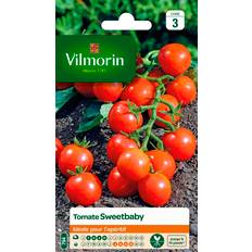 Graines de Légumes Vilmorin Graines De Tomate Variété Rouge