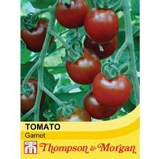 Vegetable Seeds Thompson & Morgan Tomato Garnet 1 Seed Packet 6 Seeds Red