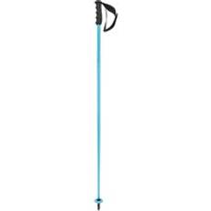 Head Downhill Ski Poles Head Worldcup SL Ski Poles Bleu