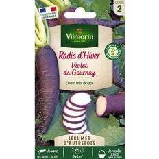 Graines de Légumes Vilmorin Graines De Radis Variété