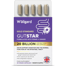 Wellgard 16 Strain Probiotics for Gut Health with Fennel and Ginger