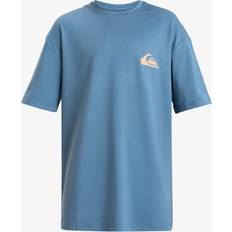 Quiksilver Everyday Surf Short Sleeve UPF 50 Surf T-Shirt - Boys