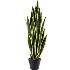 Planter Vega Svigermorstunge Kiran 86 cm Grønn Svart