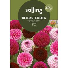Salling Blomsterløg 5 Stk