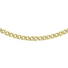 Carissima Gold Unisex Curb Chain Necklace - Yellow