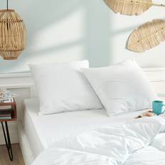 Oreillers Lot de 2 Oreillers 60 x 60 cm Blanrêve Gamme Microfibre Oreiller en Fibre