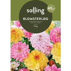 Salling Blomsterløg 5 Stk