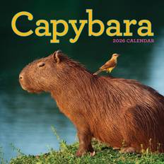 Capybara Calendar 2026