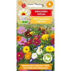 Sommerfugleblanding Blomsterfrø