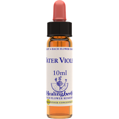 Water Violet 10ml