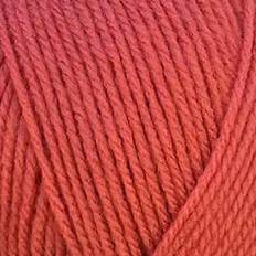 Special DK Knitting Wool Yarn 100g 2175
