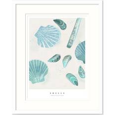 Glass Framed Art Whistlefish Seagrass Shells Small Print Framed Art