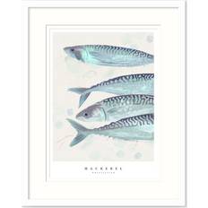 Glass Framed Art Whistlefish Seagrass Mackerel Small Print Framed Art
